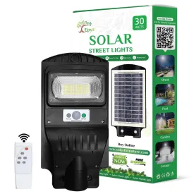 30 Watt Solar Street Light (White Light)