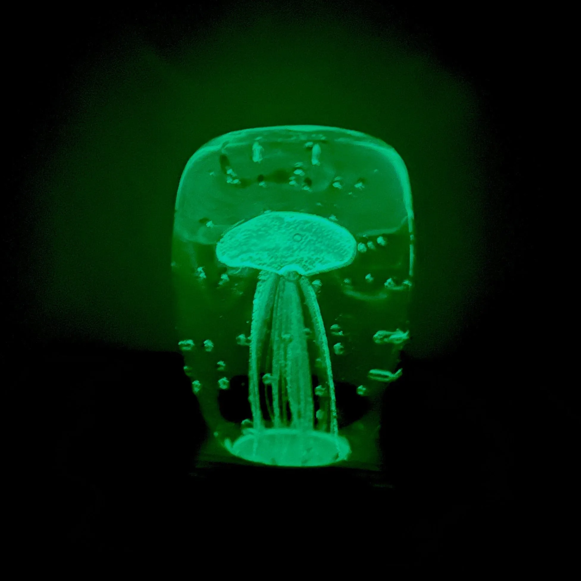 Block Glow in the Dark Jellyfish Paperweight 6, Green