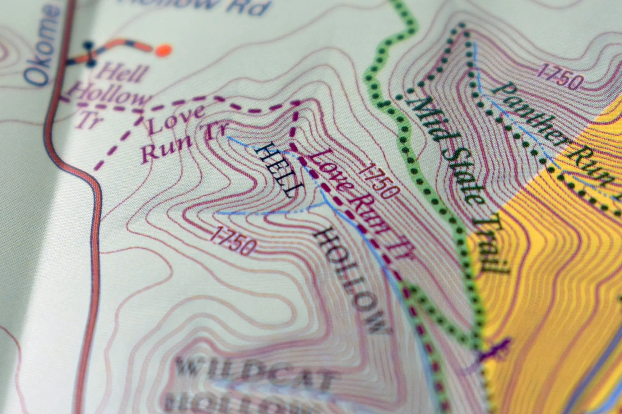 Purple Lizard Pine Creek Lizard Map